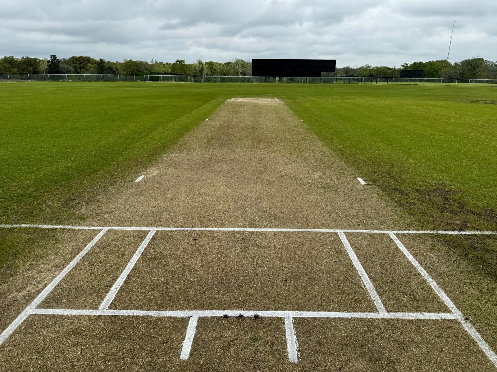 Close-up of a prepared natural turf wicket at Prairie View, creases freshly marked.